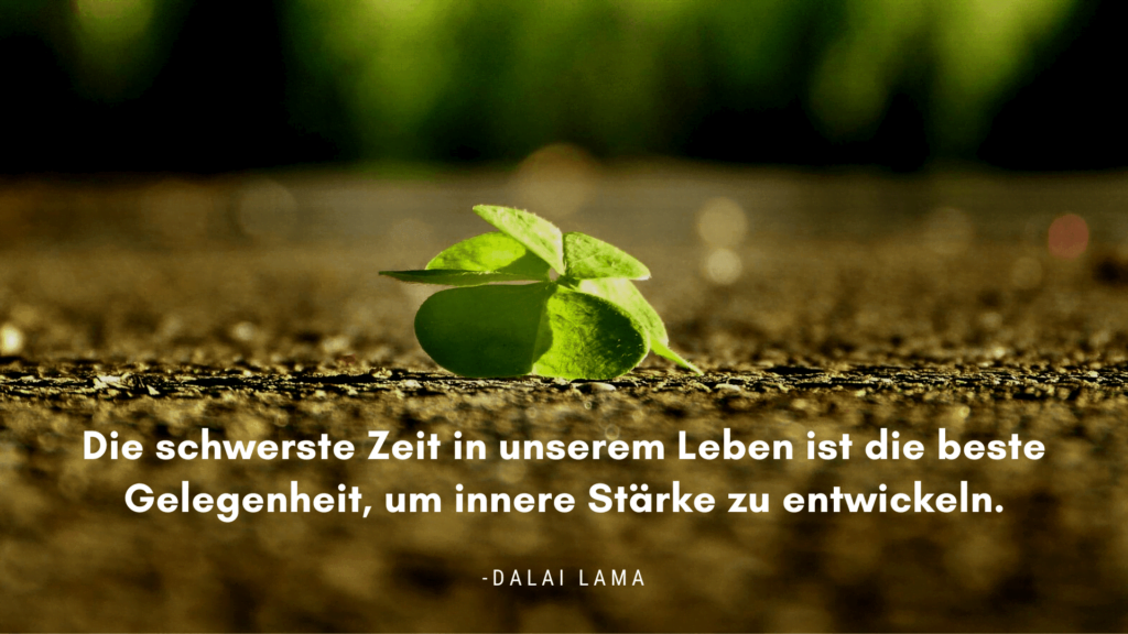 Die schwerste Zeit in unserem Leben ist die beste Gelegenheit, um innere Stärke zu entwickeln. - Dalai Lama